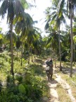 C-S ride down the trail.JPG (95 KB)